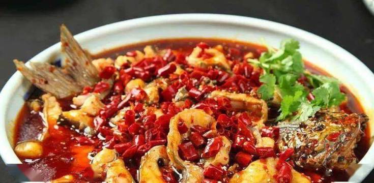 黄河鲶鱼